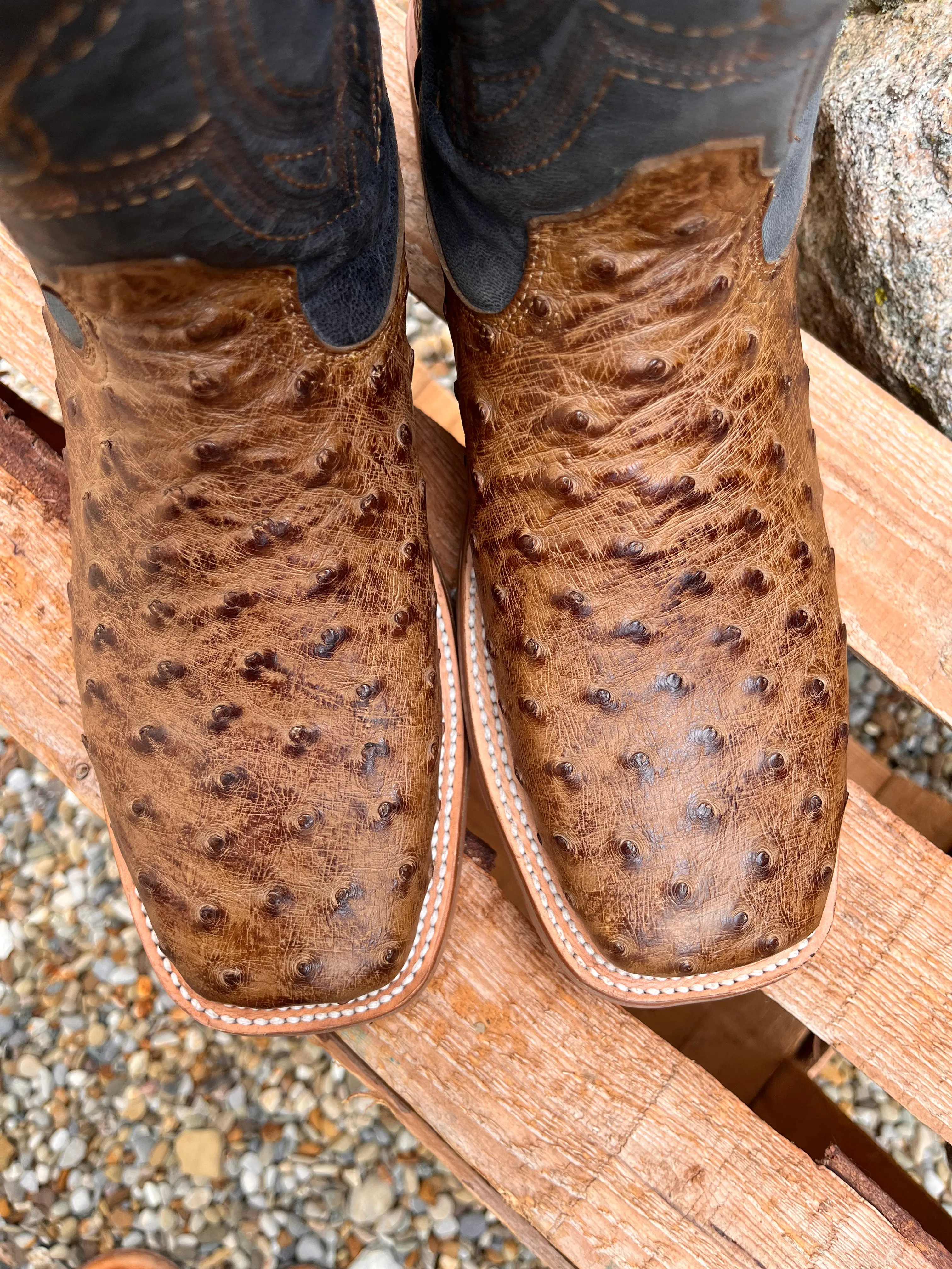 Corral Men's Orix Brown & Blue Ostrich Square Toe Cowboy Boots A4052